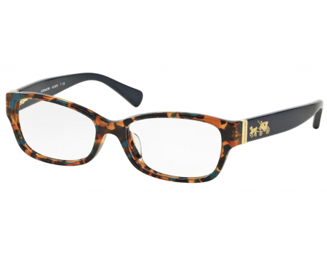 Coach best sale hc6078 eyeglasses