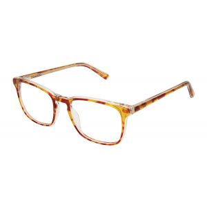 Perry Ellis PE 443