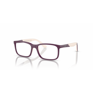 Ray-Ban RY1621F 3928