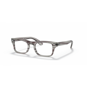 Ray-Ban RY9083V - Junior burbank 3850